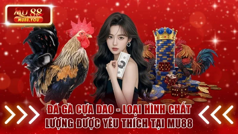 Đá gà cựa dao