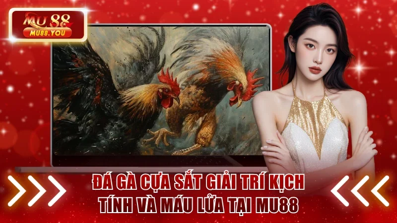 Đá gà cựa sắt