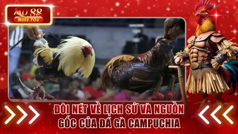 Đôi nét về lịch sử và nguồn gốc của đá gà Campuchia
