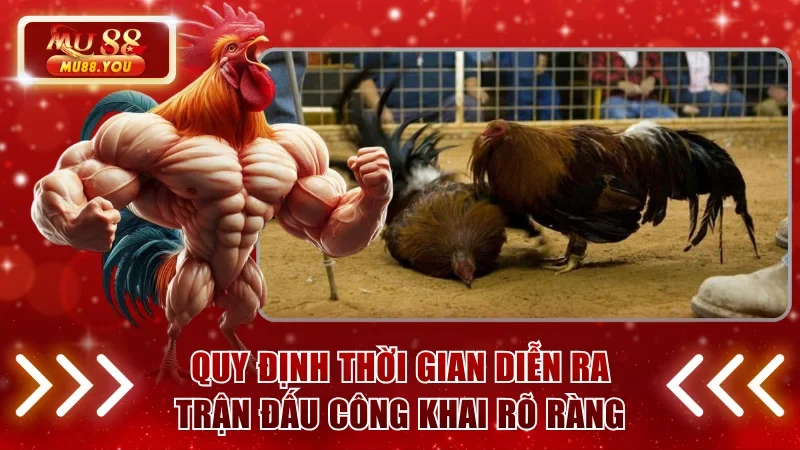 Quy định thời gian diễn ra trận đấu công khai rõ ràng
