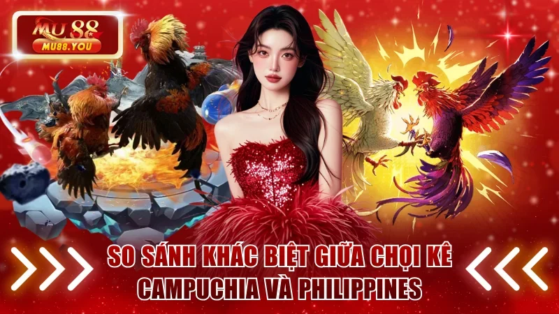 So sánh khác biệt giữa chọi kê Campuchia và Philippines